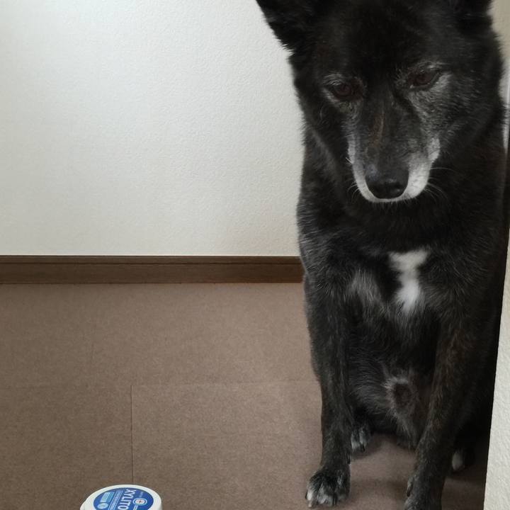 6cda24ff 4ace 4546 9fd4 011250c4d7f8