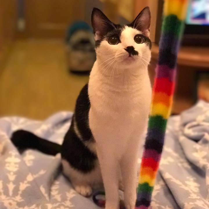 6cdaa488 d1ab 4c7a a613 acf29b5a2457