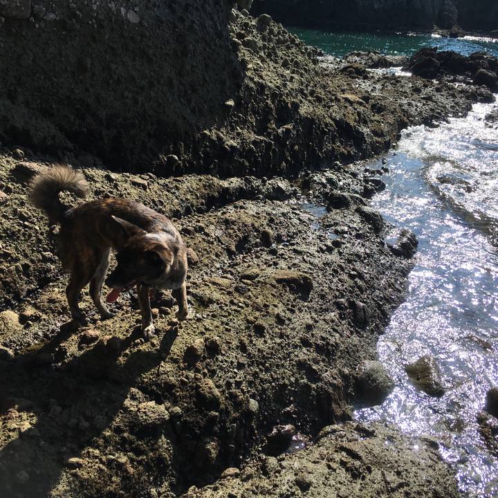 6cdaf391 2c92 42b0 b864 69707f2ae0fa