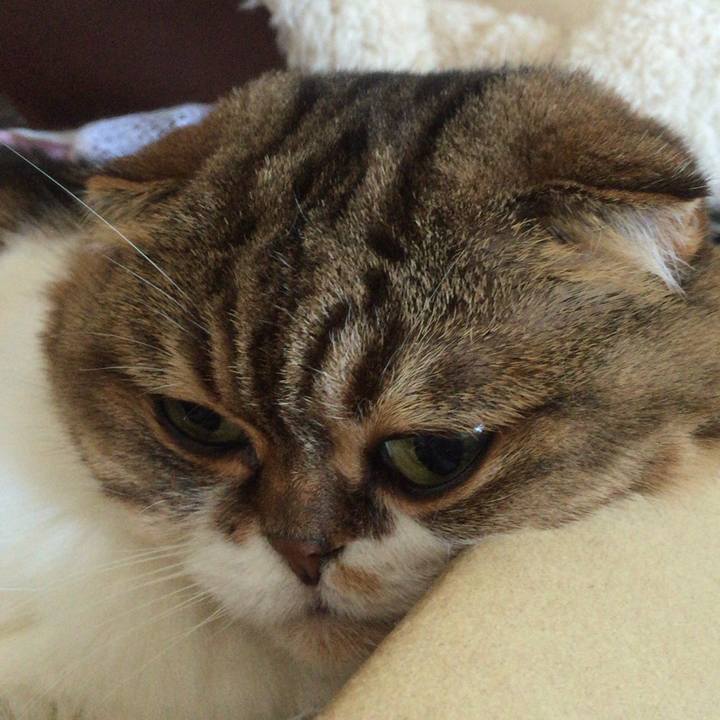 6cdb98cd 06b8 4b6c 9284 efc6813ad18a