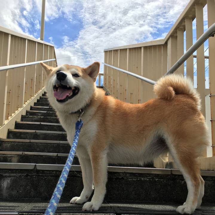 6cdbf97c 1c04 4afd a5b7 b9dfb29915ec