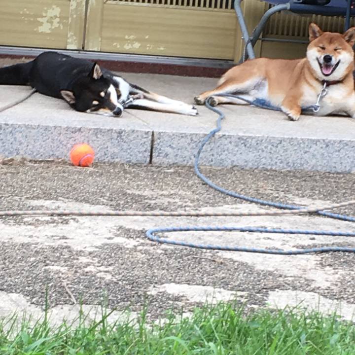 6cdc747f 6bd5 4279 a358 e27958be9b83