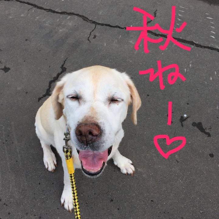 6cdcbafd 6ad7 4db3 9ab2 51592fabe30b