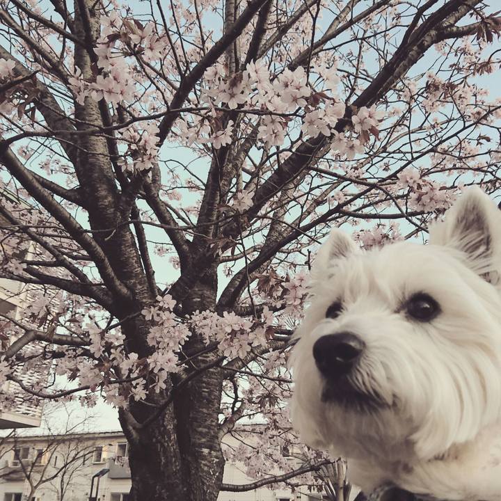 6cdd55e0 5599 4828 b15e 88ad5ef26b7f