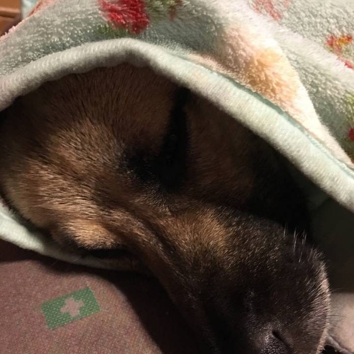 6cdd6983 ad73 4208 98a1 d44cc072870d