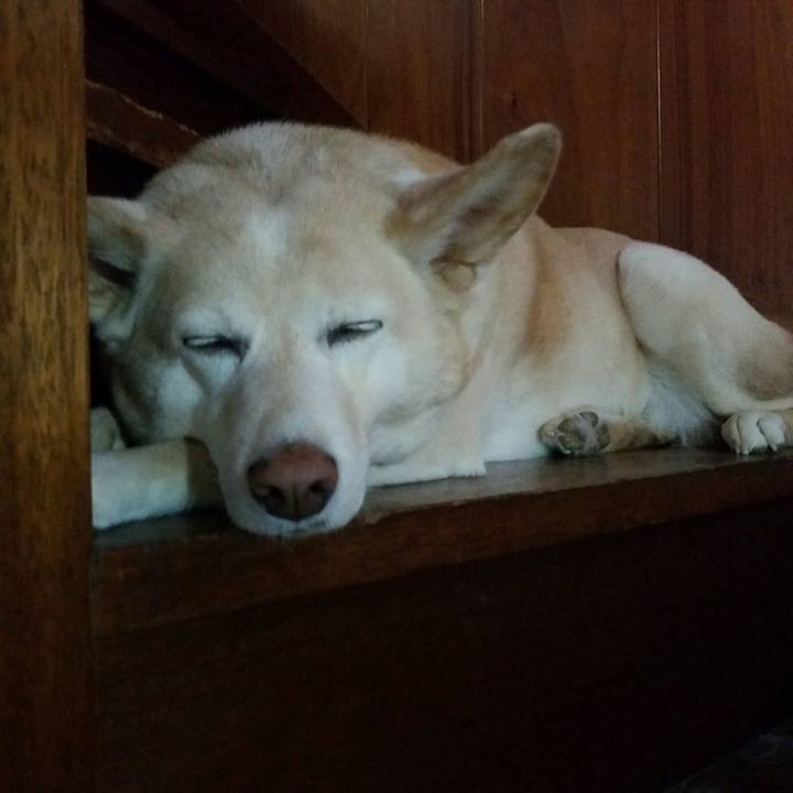 6cde885e 9c8d 4535 981a f9853051ec7f