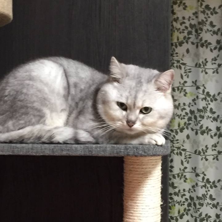 6cdebdf5 022b 4965 9c5d cd7cfb7fe72b