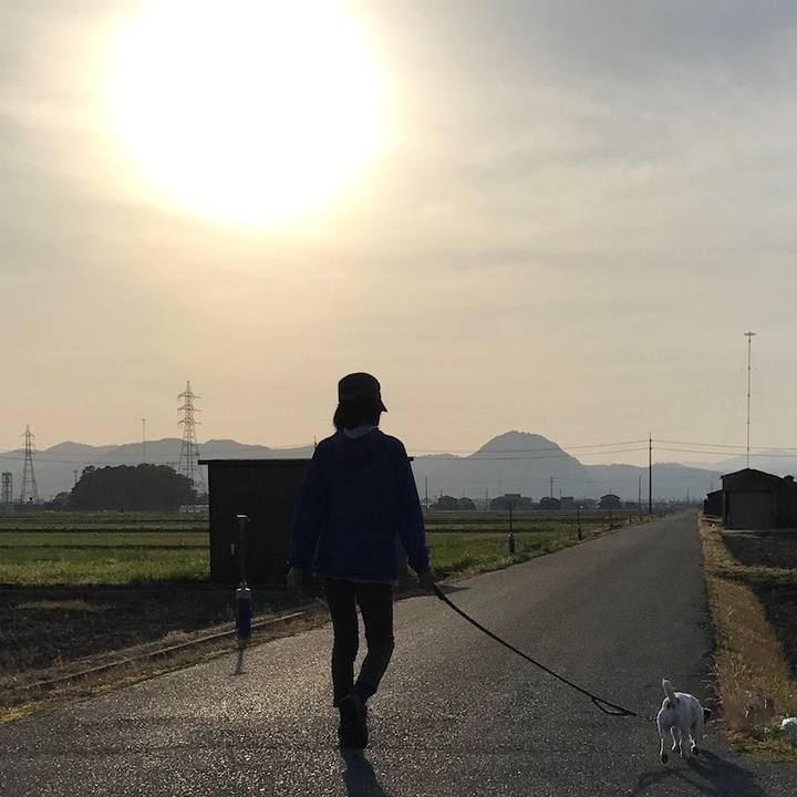 6cdf0005 c892 425a a03a 07a5a6e9908c