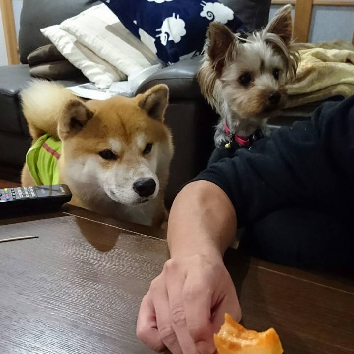 6cdf372b 6518 4bae 8fc9 4c259d315623