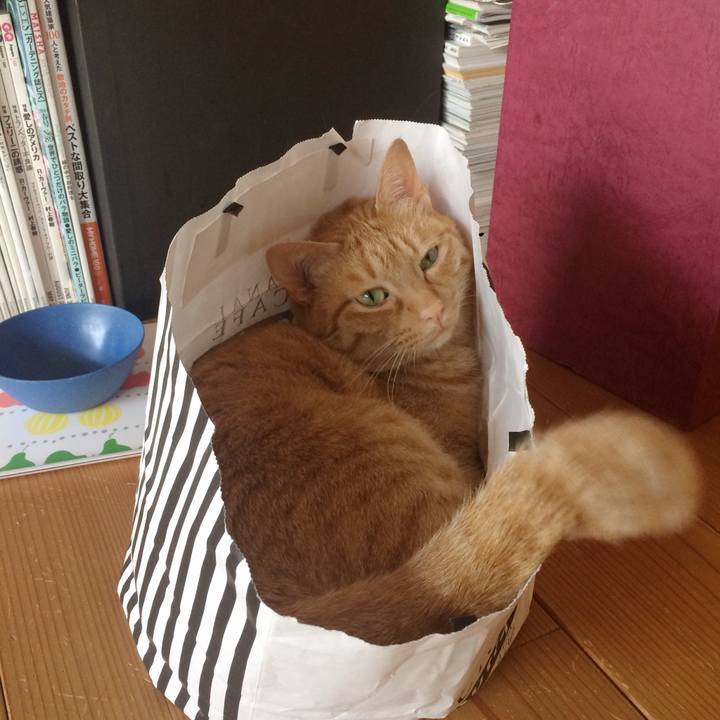 6cdfee23 4983 45c7 9690 81fb9d657cd7