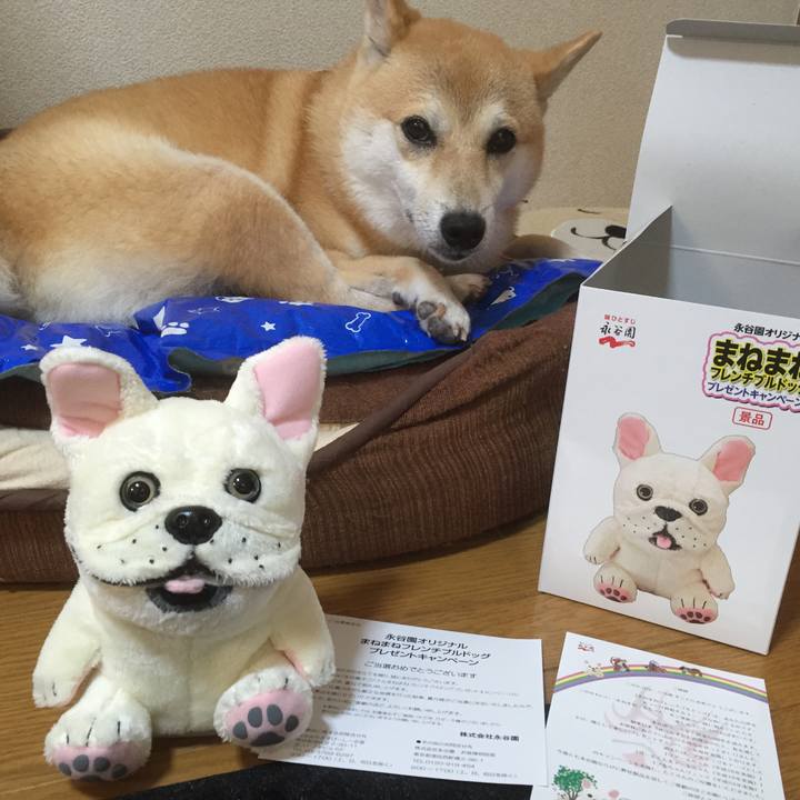 6ce09f6a 1ef9 4aa7 a987 503906f0c667