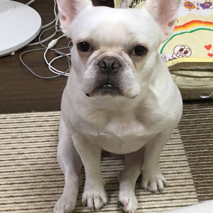 6ce1e13d bffc 4ec4 9ab8 108f5384ba4e