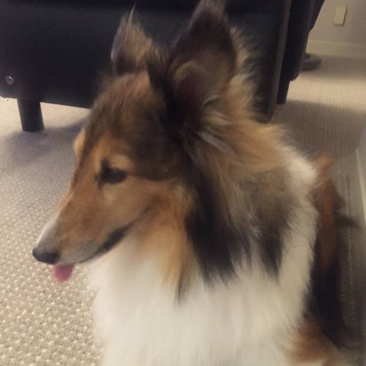 6ce255d4 4fde 465f b2d7 47228b8d7f26