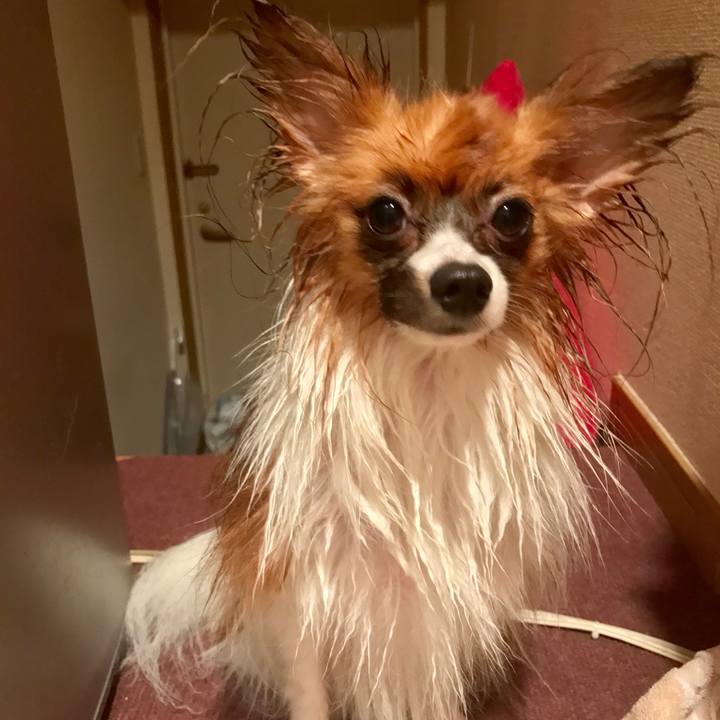 6ce293b2 105e 4a5b 8e1a 1c8fbf00cec3