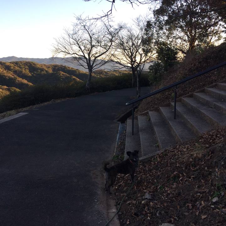 6ce2a460 4cc5 468c b61a 02a61a84b555