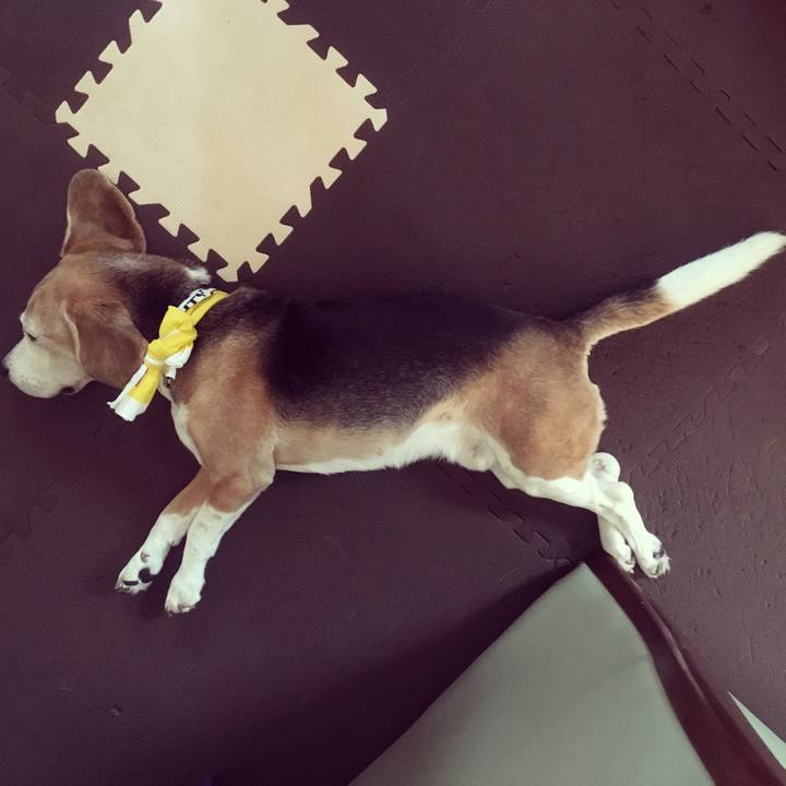 6ce33858 0492 4eb1 b52a 35bacfc78db6