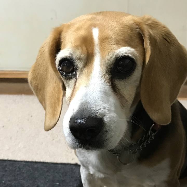 6ce363ae b236 4a6d 94cf ec6c37b11c94