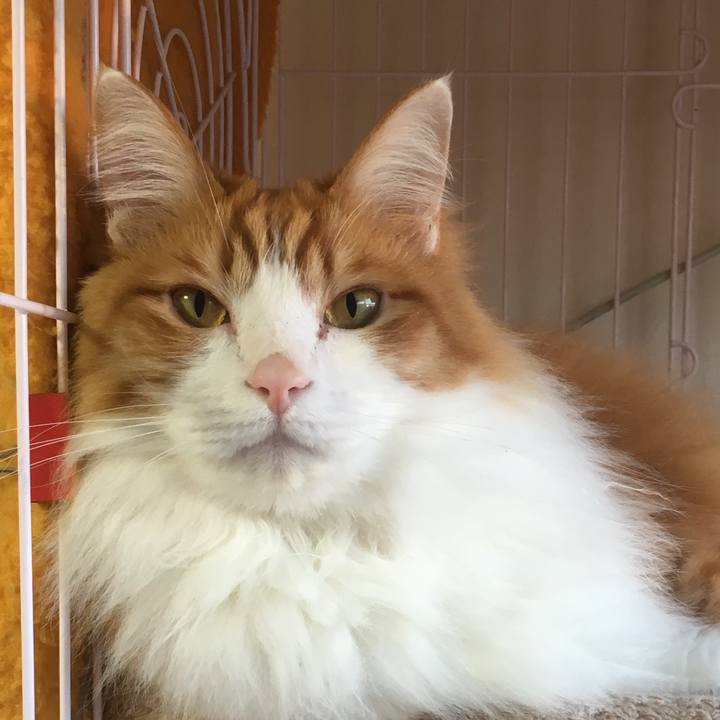 6ce4720d d976 4365 b689 25bff0caf9d4