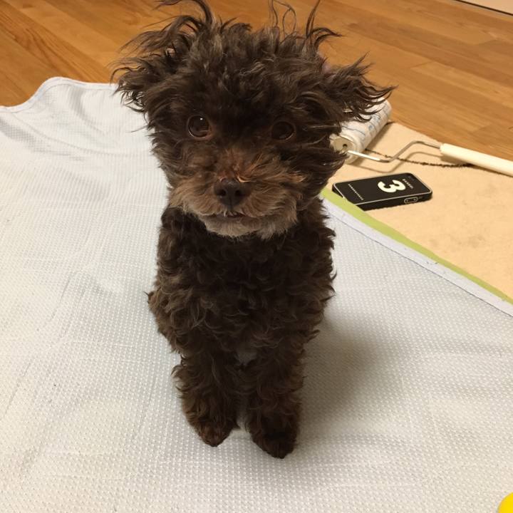 6ce47990 1b81 43e9 9417 0b651b749be0