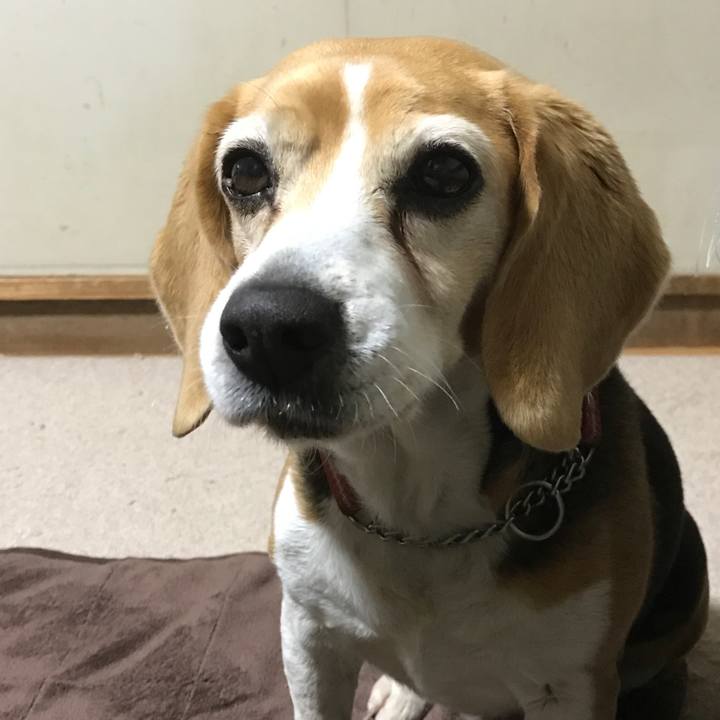 6ce4b0ed 9281 4a76 869b 3b970bc221b7