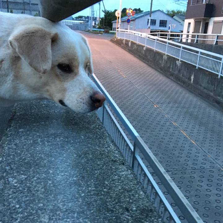 6ce540a0 2cb7 45e8 b177 15801fd6a10d