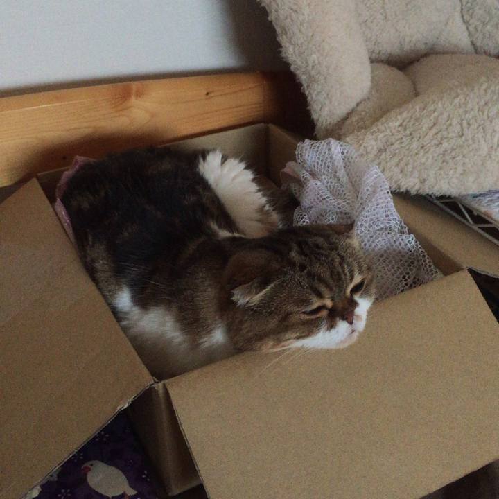 6ce60363 ed97 47d4 b11e 5b3f013c4fc0