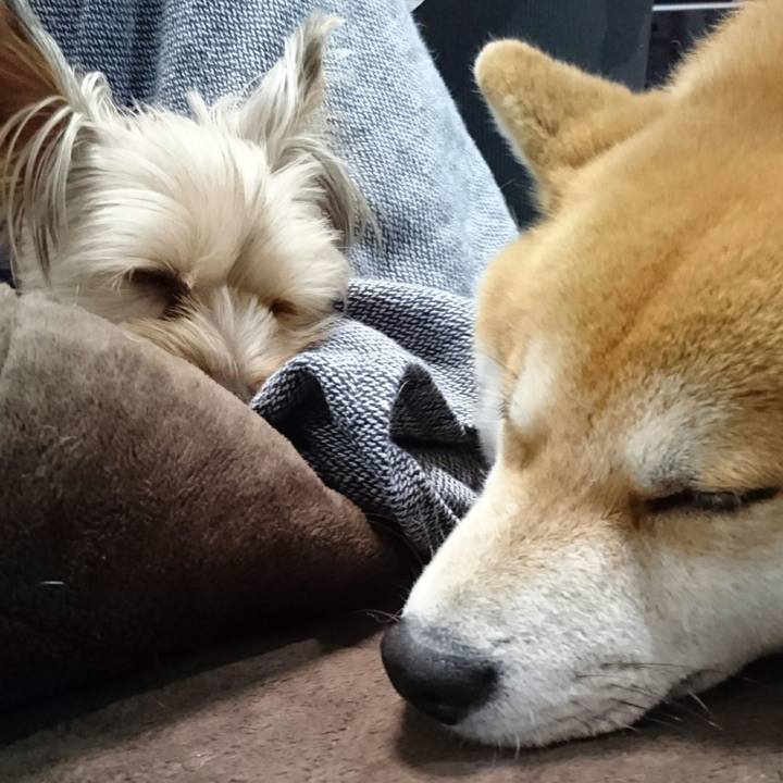 6ce610ca 1024 465a 965e 465eac16e27c