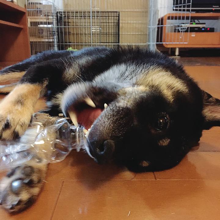 6ce70188 d61e 4dff ae83 f867fdc08207