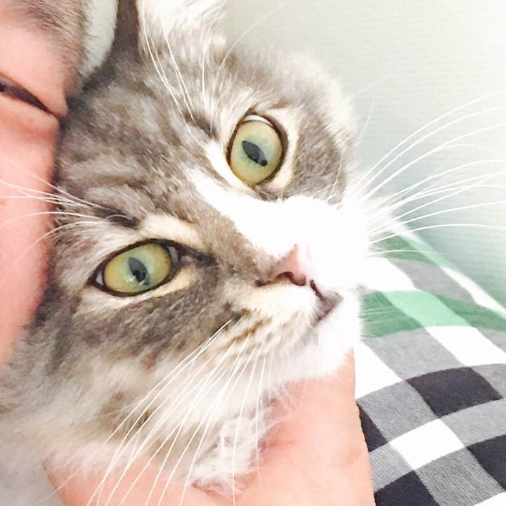 6ce75a8c 73e5 46ca a1e6 0d1221f9019d