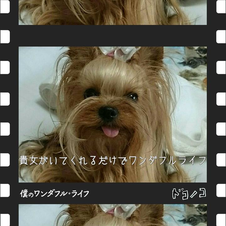 6ce7b283 2ac6 41da 9bd4 997403170430