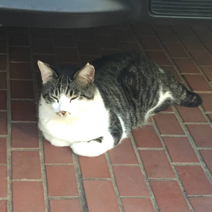 6ce81623 839e 4f73 ae18 93f75a3c8632