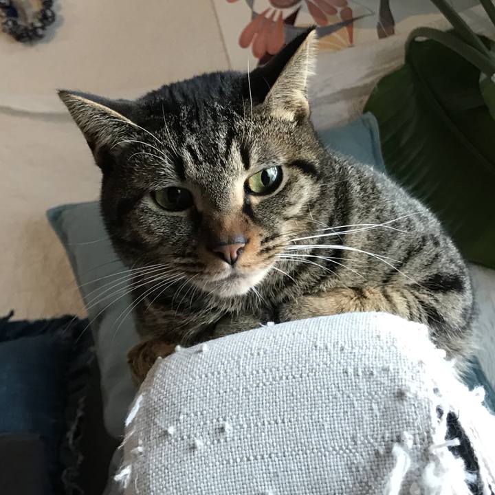 6ce83f0f 4061 42f5 930f 84814b80a3f0