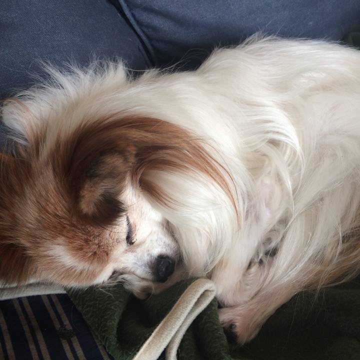 6ce899e7 0c4f 4414 a9a4 d022db98c7ae