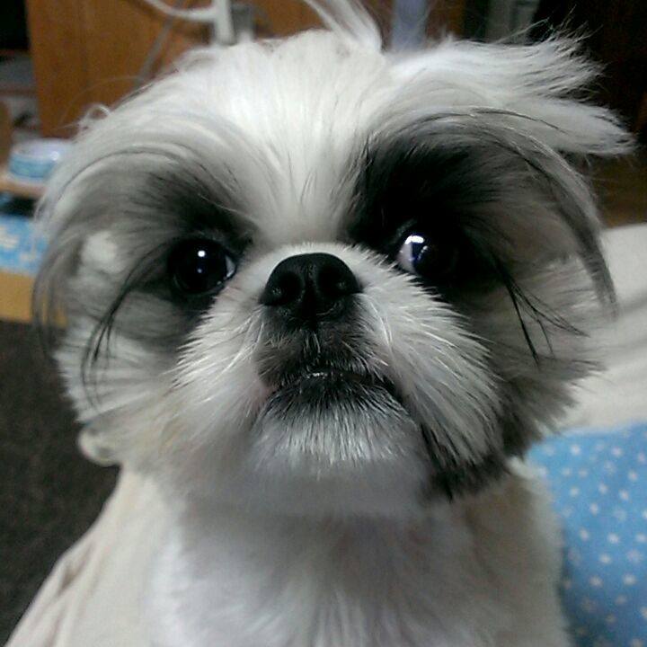 6ce8b9c5 c3e7 4388 963f f2a29d08ceed