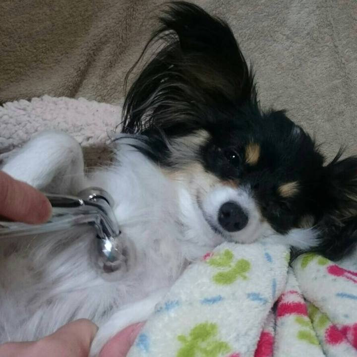 6ce8f15f 6618 417c a344 8fe7135953cd