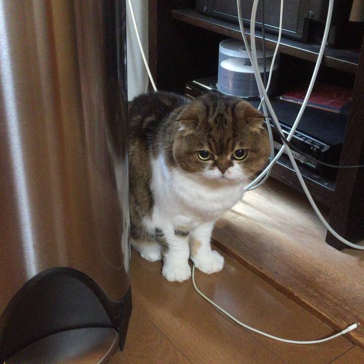 6ce95d78 fb87 4a12 a49a f5c9bbb35bc3