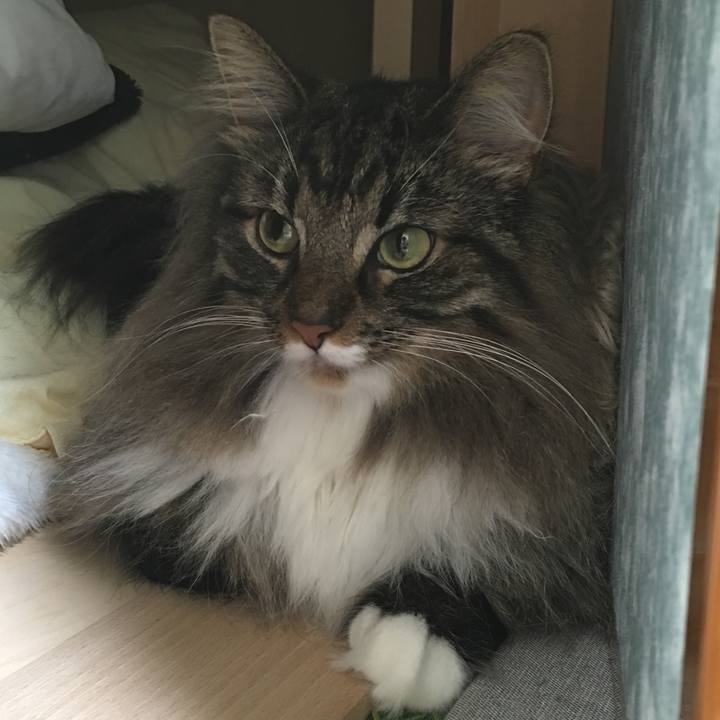 6ce9c46d 6be2 49fd 8dbf a022bc80a08d