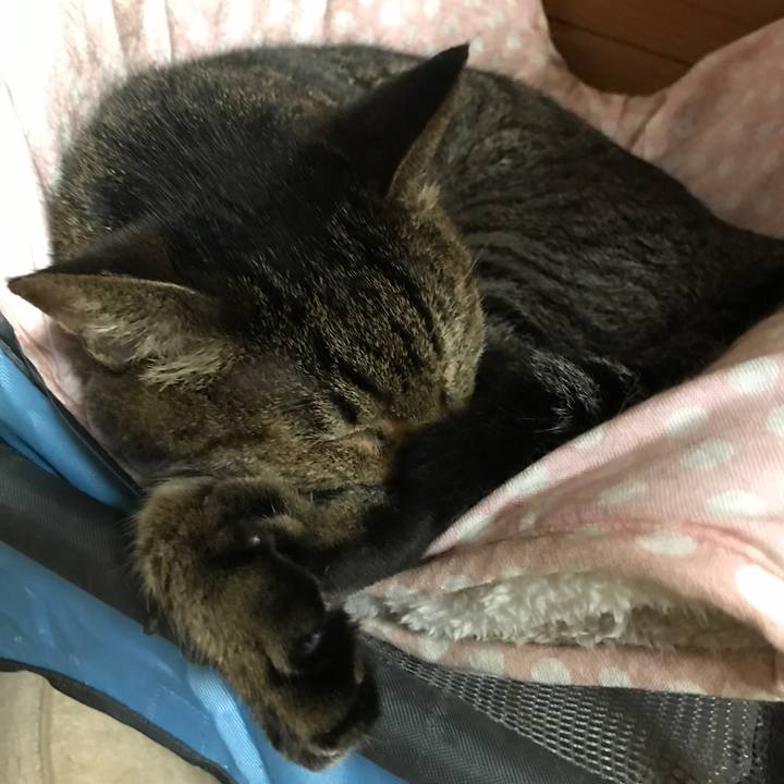 6ceacf45 2cc1 45ec 9c1b 2fd389839b58