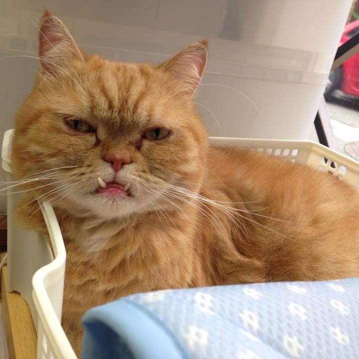 6ceb46d0 c9a2 49c7 a2e9 8035934699cb