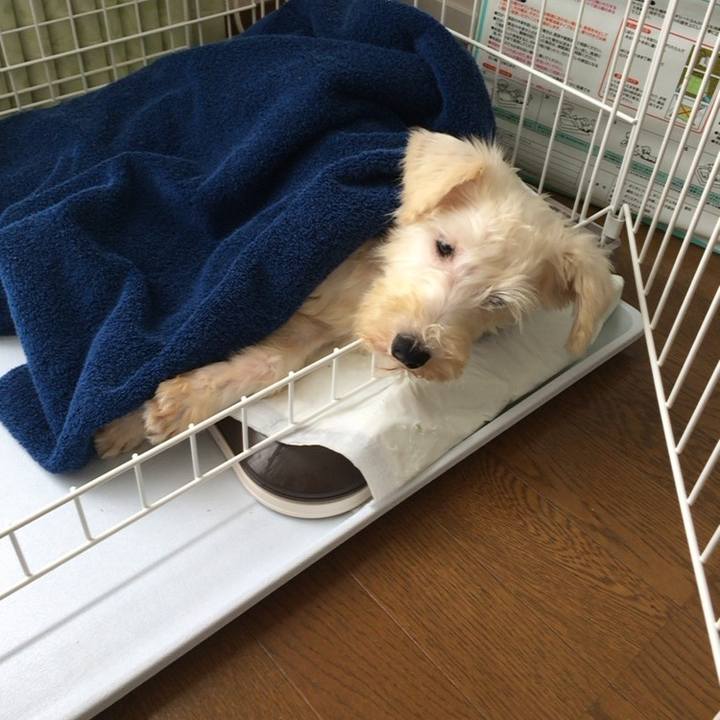 6ceb97e1 c24d 4f8e 9f76 dbdf0cded762