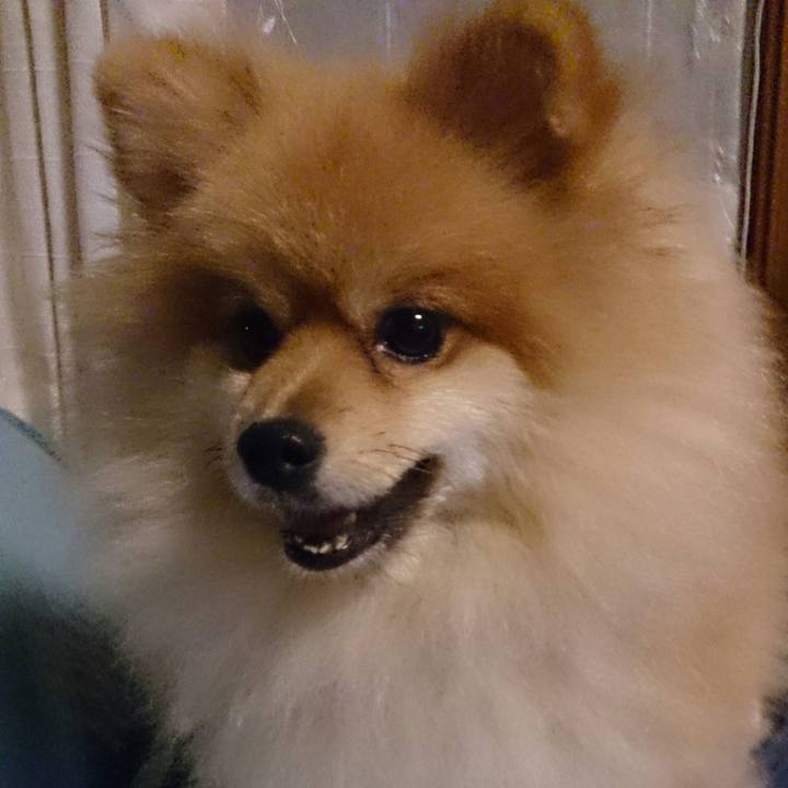 6cec1a22 ba33 4b8c b173 fbc0507ed876