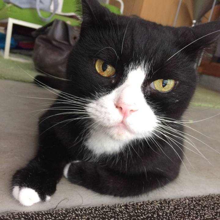 6cec215a e038 4cab a918 24340fe25ec6