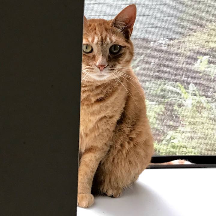 6cec5aa2 a911 4ba9 99cf 01cb9a02dca5