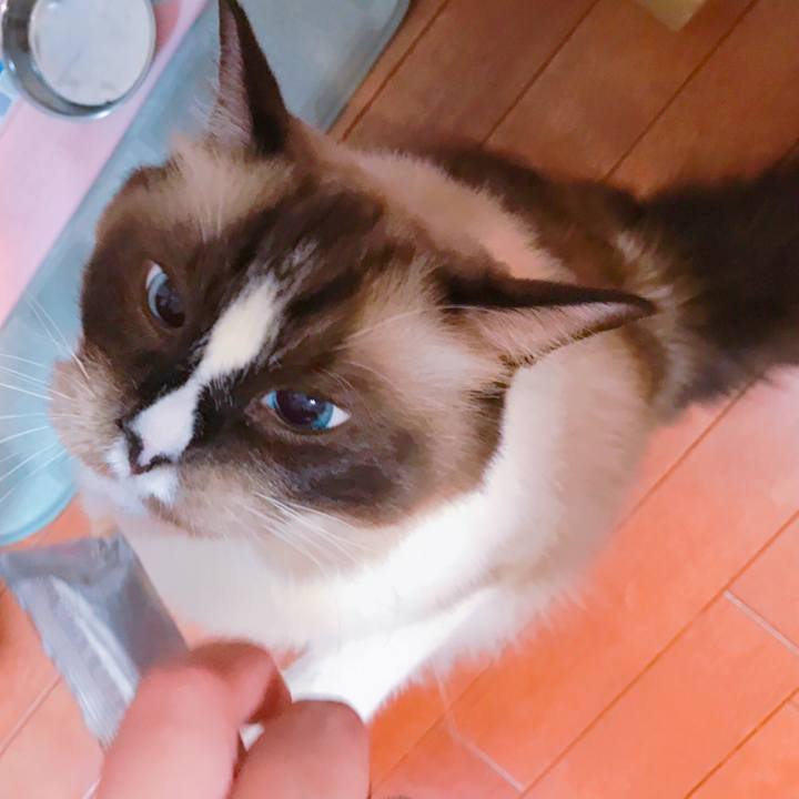 6ced17db a279 4788 a063 fa8ad8bcb6b0