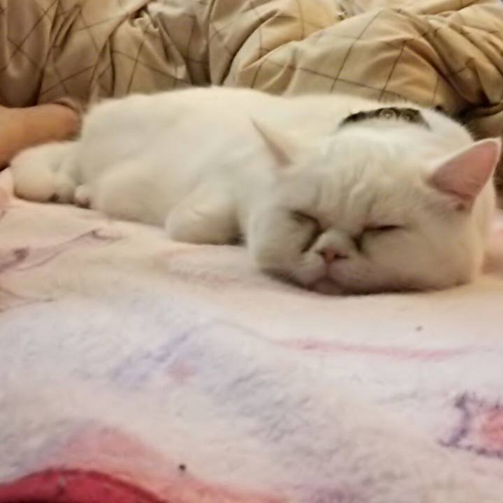 6ced3a0f 7346 4aeb b079 a4d63d935c99