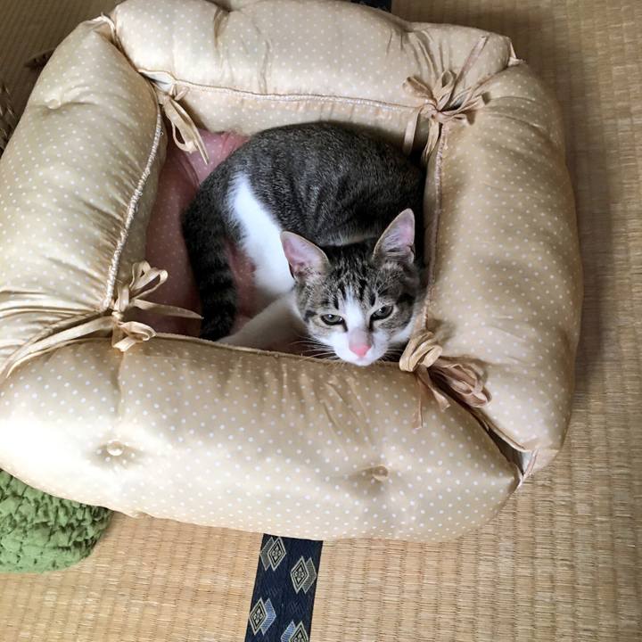 6cee25bc 713d 4e59 b247 fbce26a470d5