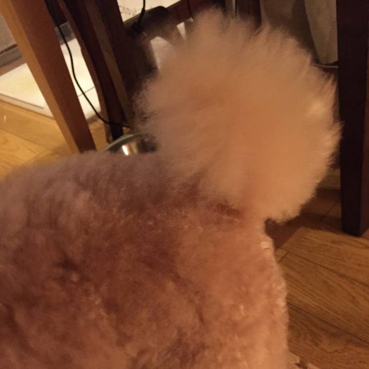 6ceef21e 0061 48a6 b796 5fb069e8ccbb