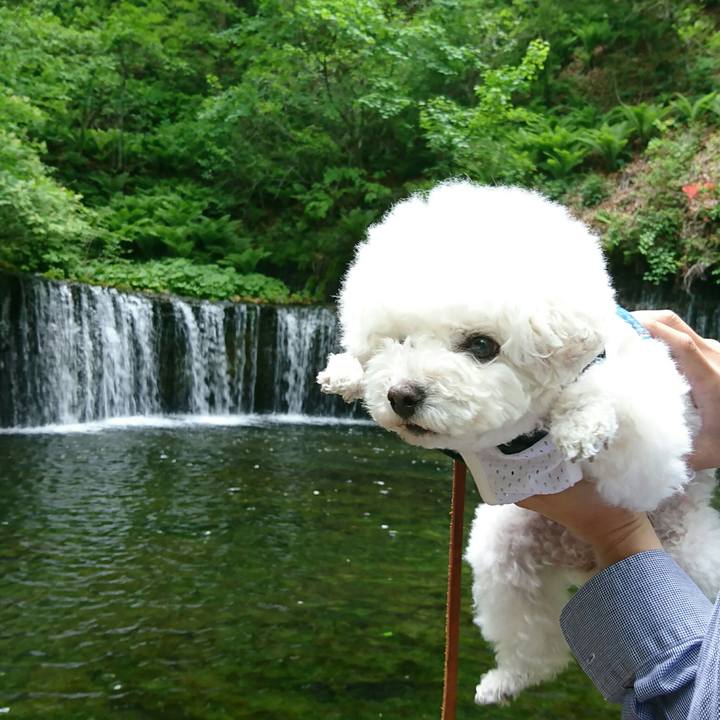 6cef3a49 cfc3 40a6 b8a5 5551298ed2e5