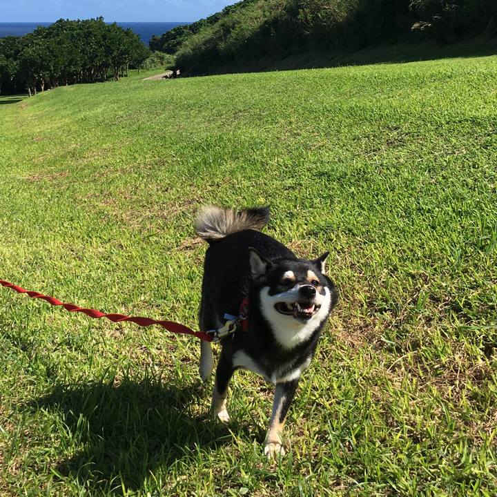 6cef3e1a 16a5 469a 868b 64493e132e12