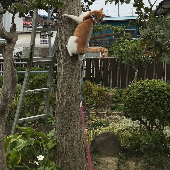 6cef85d6 1edb 4f64 9189 176eb06a2f8f